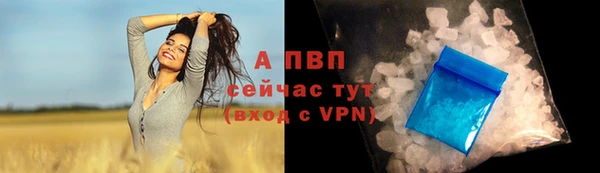 apvp Алзамай