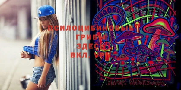 apvp Алзамай