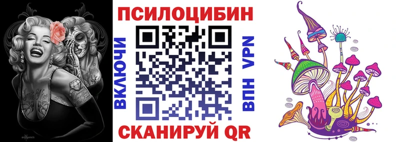 Галлюциногенные грибы Magic Shrooms  закладка  Гдов 